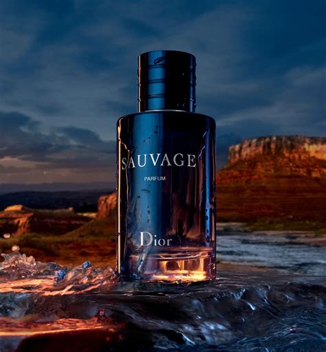 dior sauvage parfum nouveau|dior sauvage 100ml cheapest.